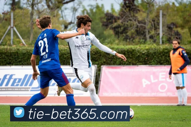 辅助工具 辅助工具